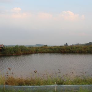 鴜鹭湖国家湿地公园