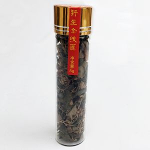 金线莲