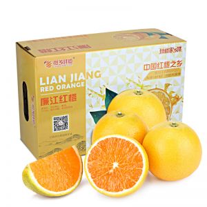 廉江红橙