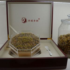  安龙铁皮石斛