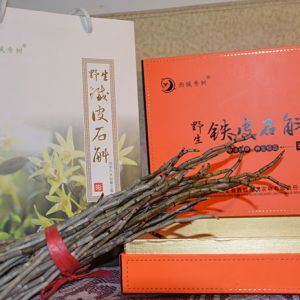  安龙铁皮石斛