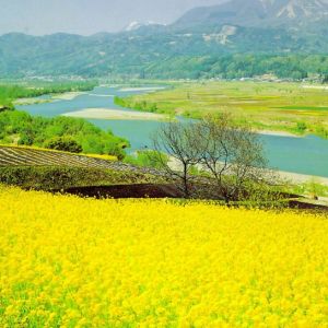 桂林四季旅游
