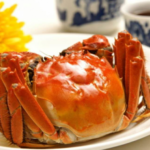 阳澄湖大闸蟹
