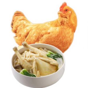 惠州胡须鸡