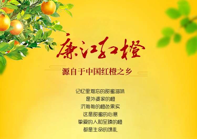 红橙详情页_01.jpg