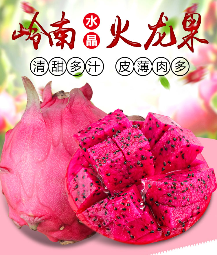 火龙果_01.jpg