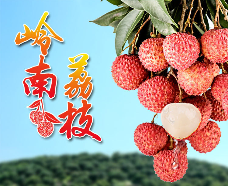 岭南荔枝详情页_01.jpg
