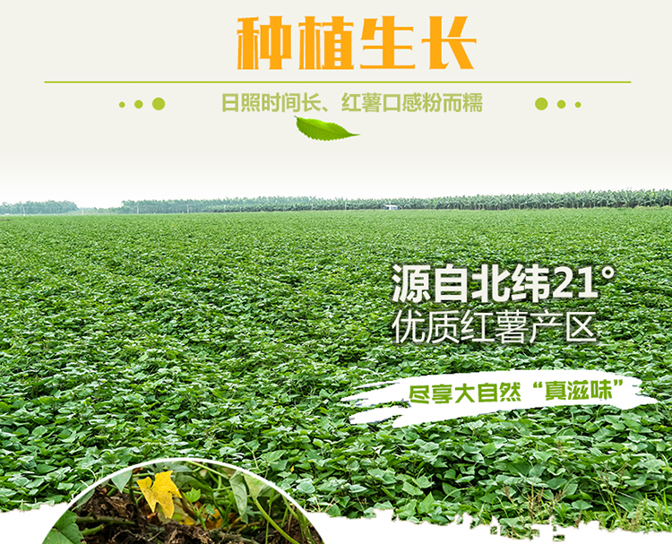 详情页_11.jpg