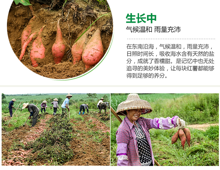 详情页_12.jpg
