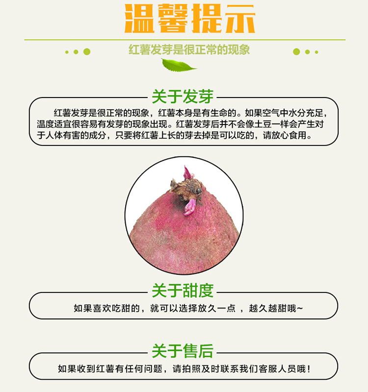 详情页_18.jpg