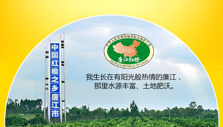 红橙详情页_03.jpg