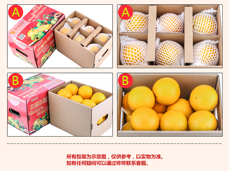 红橙详情页_11.jpg