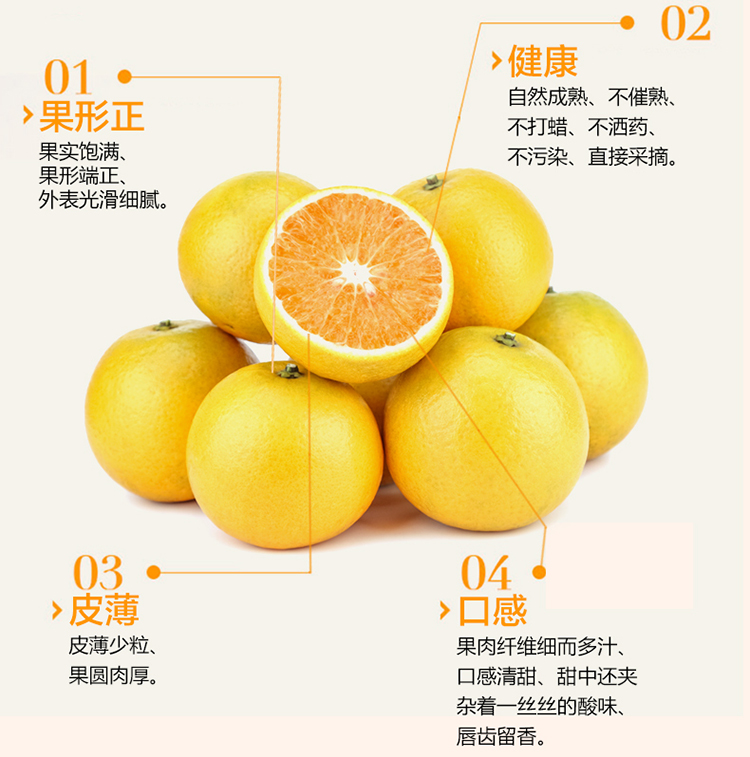 红橙详情页_13.jpg