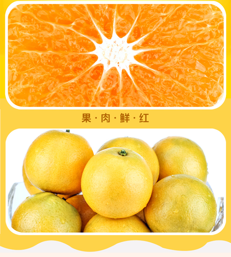红橙详情页_16.jpg