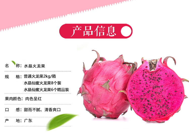 火龙果_02.jpg