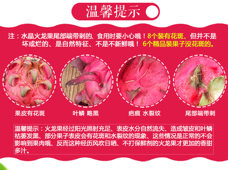 火龙果_03.jpg