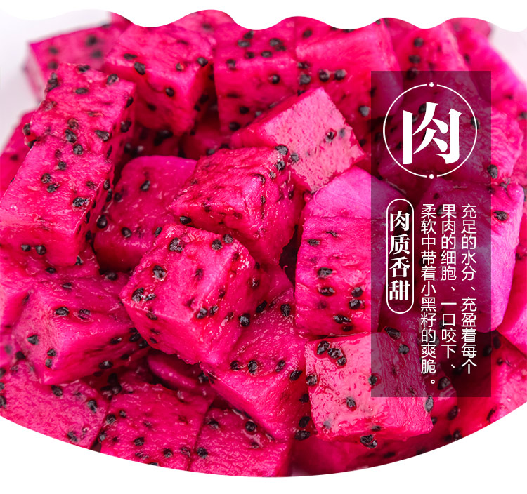 火龙果_06.jpg