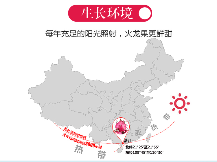 火龙果_07.jpg