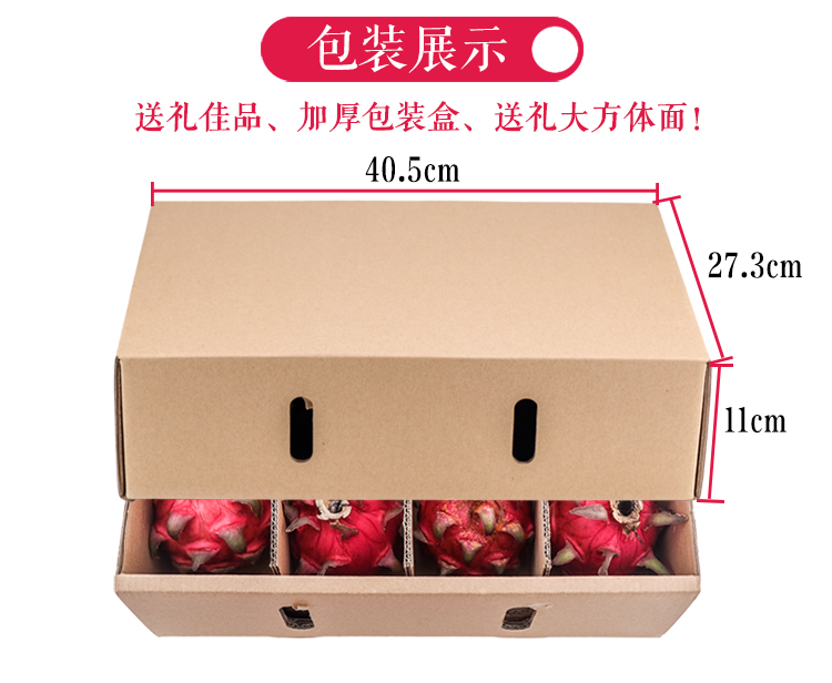 火龙果_10.jpg