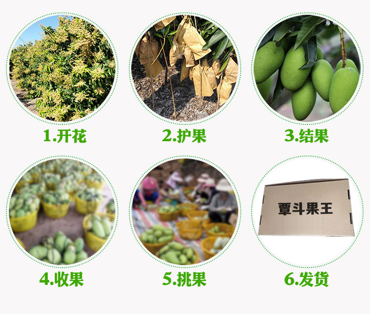 覃斗蛋芒详情页_11.jpg