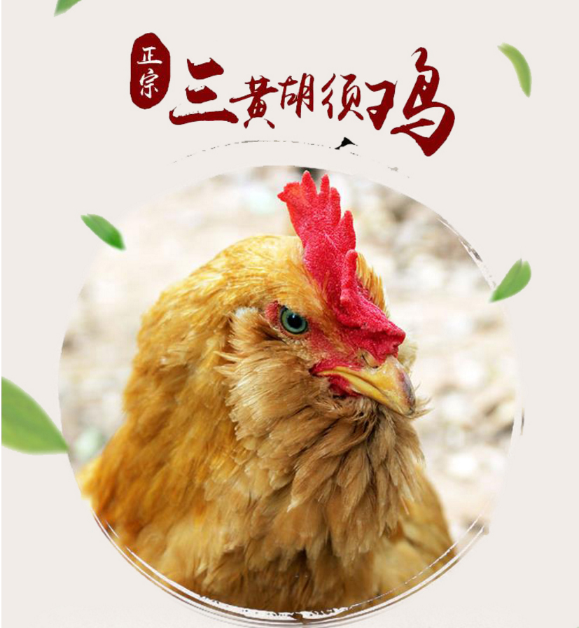 未标题-6.jpg