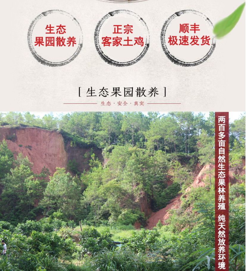 未标题-7.jpg