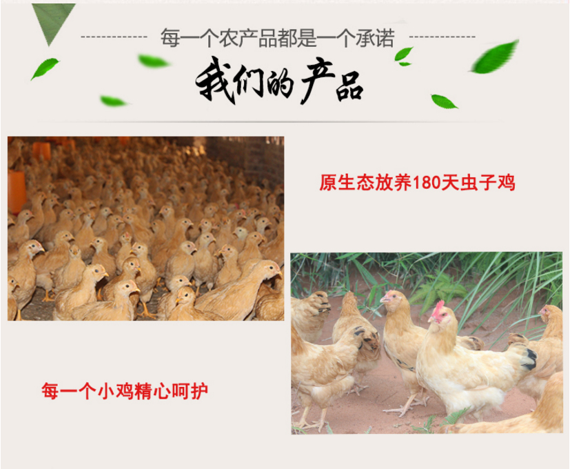 未标题-13.jpg