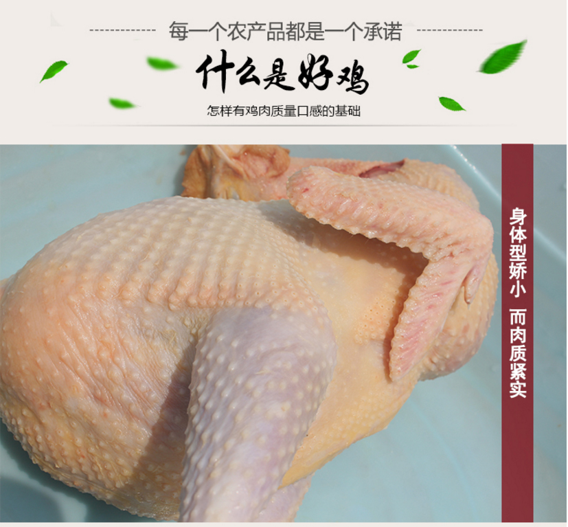 未标题-14.jpg